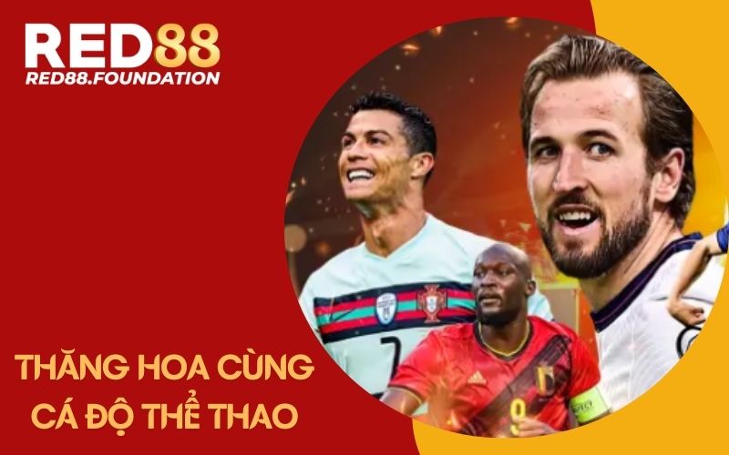 Cháy hết mình cùng cá độ thể thao Red88