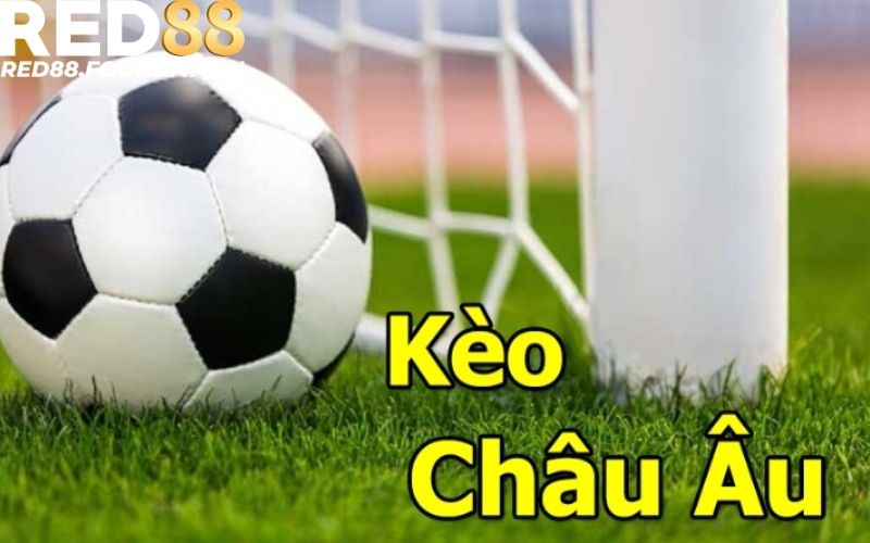 Top 2 các kèo bóng đá dễ chơi cho người mới - kèo châu Âu